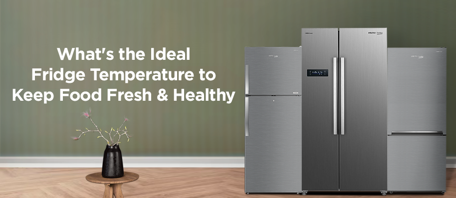 What's the Ideal Fridge Temperature to Keep Food Fresh and Healthy