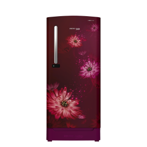RDC215CDWEXB/XXSG Direct Cool Single Door Refrigerator - Home Appliance