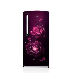 Voltas Beko 200 L No Direct Cool Single Door Refrigerator (Fairy Flower Purple) RDC220B60/FPEXXXASG / S60200 Front View