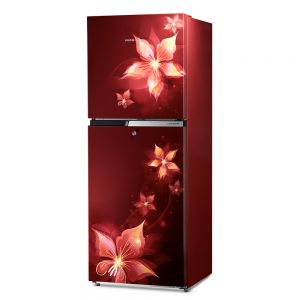 RFF2753ERCF Frost Free Double Door Refrigerator - Electrical Home Appliance