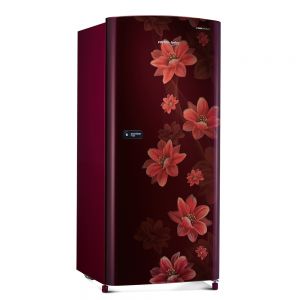 RDC215DBWRX/XXXG Direct Cool Single Door Refrigerator - Electrical Home Appliance