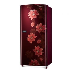 RDC215DBWRX/XXXG Direct Cool Single Door Refrigerator - Kitchen Appliance