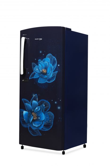185 L, 3 Star, Direct Cool Single Door Refrigerator (RDC220C