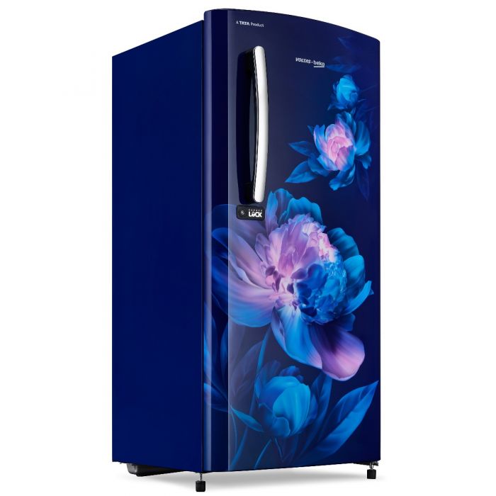 185 L, 5 Star, Direct Cool Single Door Refrigerator (RDC220A